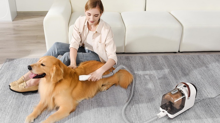 Dry the dog with a dog hair dryer